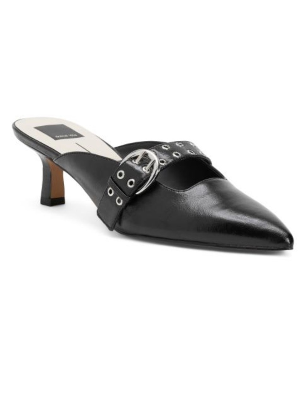 Dolce Vita Black Pointed Leather Mule with Buckle